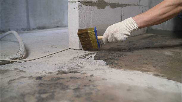 SJ Waterproofing Pros Waterproofing coverage map for Inkster, MI and surrounding area